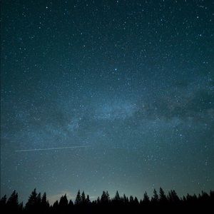 Meet your Posher, Luisberto